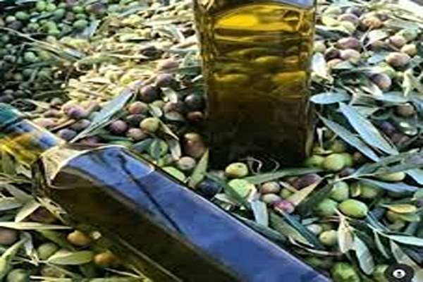 تصویر 2 از قیمت خرید روغن زیتون طارم با فروش عمده